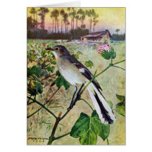Northern Mockingbird Greeting Cards
