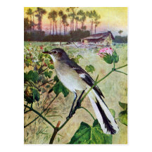 Northern Mockingbird Post Card