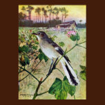 Northern Mockingbird posters