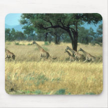 Northern (Nubian) Giraffe - Running Mouse Pads