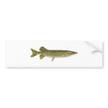 Northern Pike Art bumper stickers