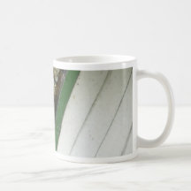 Northern Pike Coffee Mug