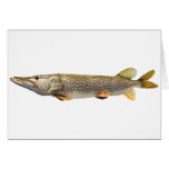 Northern Pike Greeting Cards