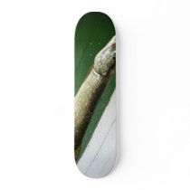 Northern Pike Skate Deck