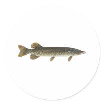 Northern Pike Round Stickers