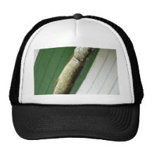 Northern Pike Trucker Hats
