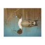 Northern Pintail Postcard