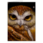 NORTHERN SAW-WHET OWL CARD