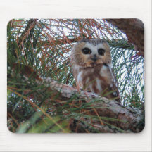 Northern Saw-Whet Owl with Huge Eyes Mousepad