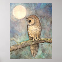 Northern Spotted Owl Fine Art Wildlife Posters
