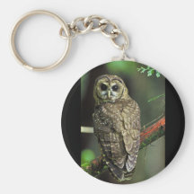Northern Spotted Owl Key Chain