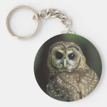 Northern Spotted Owl Keychain
