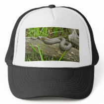 Northern Water Snake Basking on Log Multiple Items Hats