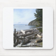 Northwest beach playtime mouse pad