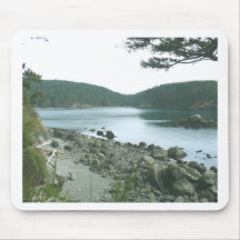 Northwest beach playtime mouse pads