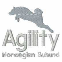 Norvégien Buhund d'agilité
