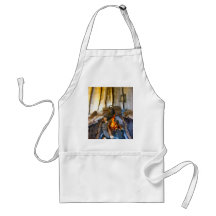 Norway, inside a Sami tent, Lapland Aprons