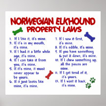 NORWEGIAN ELKHOUND PL2 POSTER