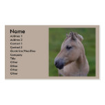Norwegian Fjord Business Card Templates