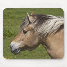 Norwegian Fjord Horse Mousepads