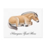 Norwegian Fjord Horse Postcard