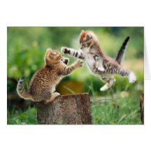 Norwegian Forest kittens Greeting Cards