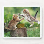 Norwegian Forest kittens mousepad