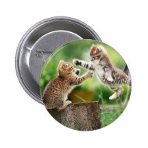 Norwegian Forest kittens Pinback Buttons