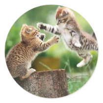 Norwegian Forest kittens Round Sticker