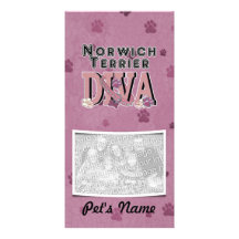 Norwich Terrier DIVA Photo Card