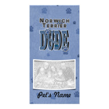 Norwich Terrier DUDE Photo Greeting Card