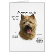 Norwich Terrier History Design Card