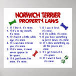 NORWICH TERRIER PL2 AFFICHES