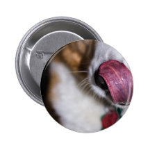Nose Licks Pin
