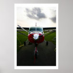 Nose Shot Poster
