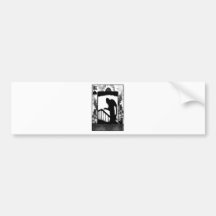 Nosferatu-shadow on the stairs bumper stickers