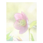 Nostalgic Hellebore Flower Art Letterhead Design