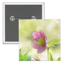 Nostalgic Hellebore Flower Art Pins