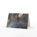 Nosy Cat Birthday cards