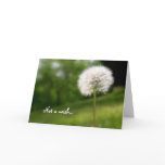 Not a Wish, Birthday cards