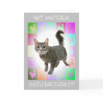 "Not Another 39th Birthday?" Cards