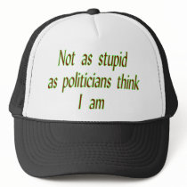 Not as stupid mesh hat