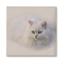 Not Just Any Kitten Refrigerator Magnet