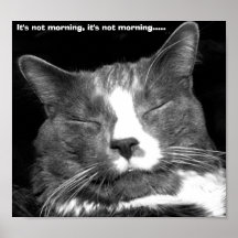 Not Morning Posters