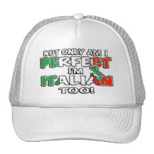 Not Only Am I Perfect... Mesh Hat