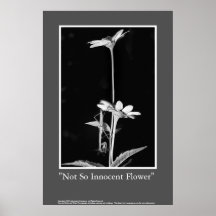 Not So Innocent Flower Print