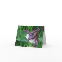 note card