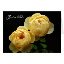 Note Card