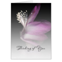 Note Card