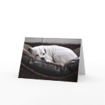 Note Card: Boxer dog
